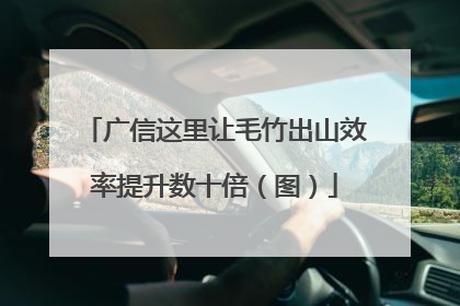 广信这里让毛竹出山效率提升数十倍（图）