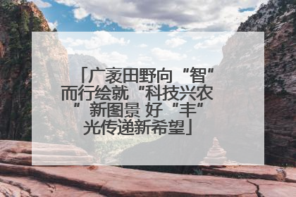 广袤田野向“智”而行绘就“科技兴农”新图景 好“丰”光传递新希望