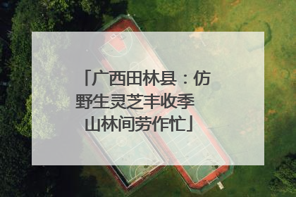 广西田林县：仿野生灵芝丰收季 山林间劳作忙