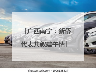 广西南宁：新侨代表共叙端午情