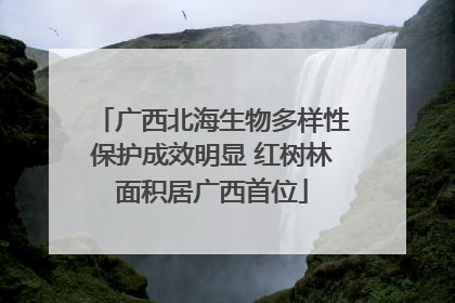 广西北海生物多样性保护成效明显 红树林面积居广西首位
