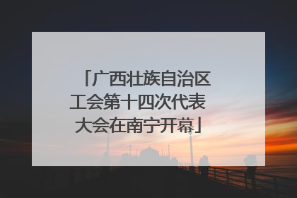 广西壮族自治区工会第十四次代表大会在南宁开幕