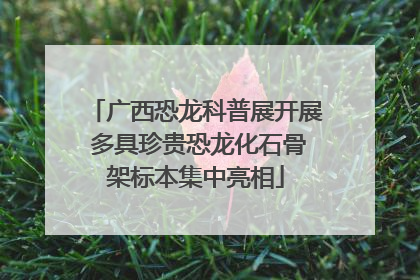 广西恐龙科普展开展 多具珍贵恐龙化石骨架标本集中亮相