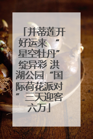 并蒂莲开好运来 “星空牡丹”绽异彩 洪湖公园“国际荷花派对”三天迎客六万