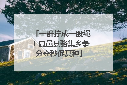 干群拧成一股绳！夏邑县骆集乡争分夺秒促夏种