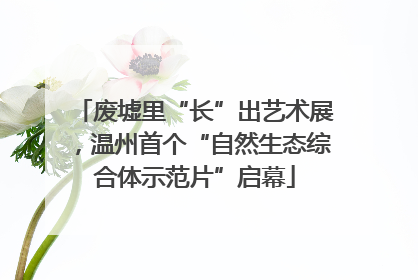 废墟里“长”出艺术展，温州首个“自然生态综合体示范片”启幕