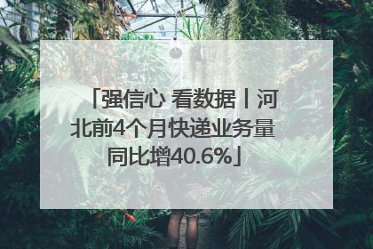 强信心 看数据丨河北前4个月快递业务量同比增40.6%