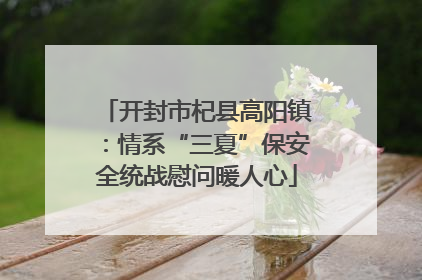 开封市杞县高阳镇：情系“三夏”保安全统战慰问暖人心