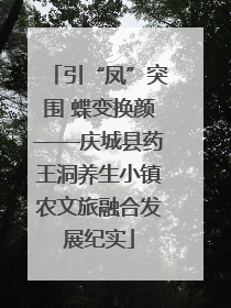 引“凤”突围 蝶变换颜——庆城县药王洞养生小镇农文旅融合发展纪实