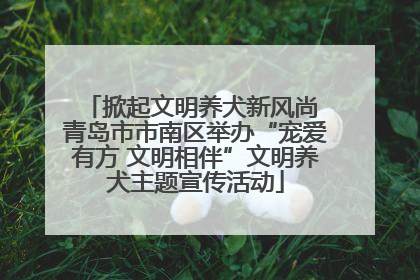 掀起文明养犬新风尚 青岛市市南区举办“宠爱有方 文明相伴”文明养犬主题宣传活动