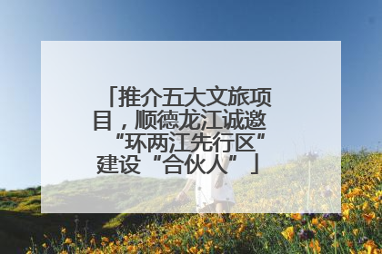 推介五大文旅项目，顺德龙江诚邀“环两江先行区”建设“合伙人”