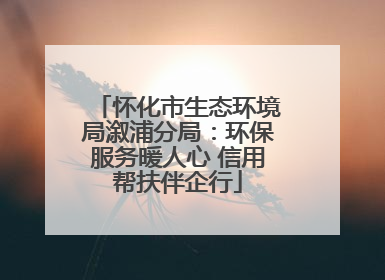 怀化市生态环境局溆浦分局：环保服务暖人心 信用帮扶伴企行