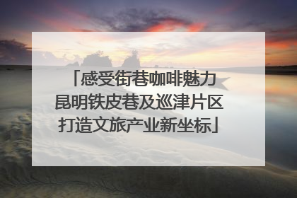 感受街巷咖啡魅力 昆明铁皮巷及巡津片区打造文旅产业新坐标