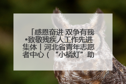 感恩奋进 双争有我•致敬残疾人工作先进集体丨河北省青年志愿者中心（“小橘灯”助残接力计划实施团队）：用温暖陪伴，守护特殊孩子成长