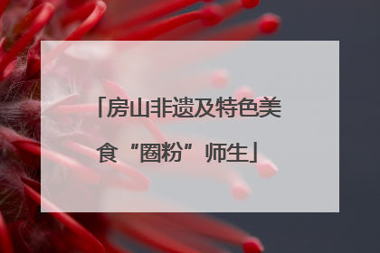 房山非遗及特色美食“圈粉”师生