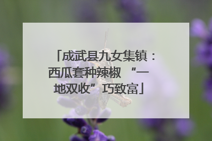 成武县九女集镇：西瓜套种辣椒 “一地双收”巧致富