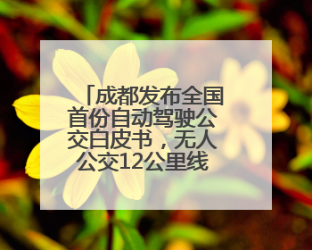 成都发布全国首份自动驾驶公交白皮书，无人公交12公里线路即将实测