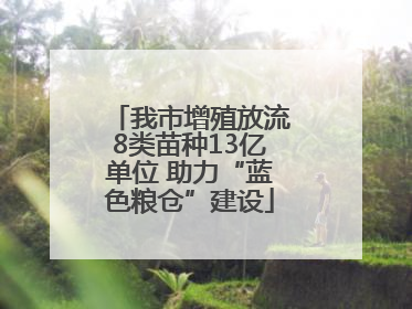 我市增殖放流8类苗种13亿单位 助力“蓝色粮仓”建设