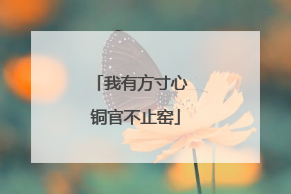 我有方寸心 铜官不止窑
