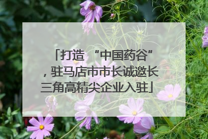 打造 “中国药谷”，驻马店市市长诚邀长三角高精尖企业入驻
