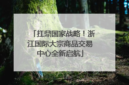 扛鼎国家战略！浙江国际大宗商品交易中心全新启航