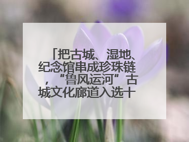 把古城、湿地、纪念馆串成珍珠链，“鲁风运河”古城文化廊道入选十大最美农村路