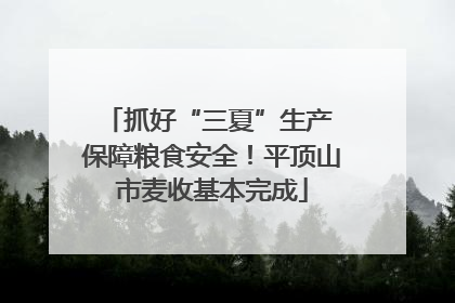抓好“三夏”生产 保障粮食安全！平顶山市麦收基本完成