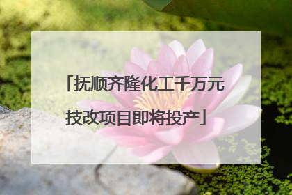 抚顺齐隆化工千万元技改项目即将投产