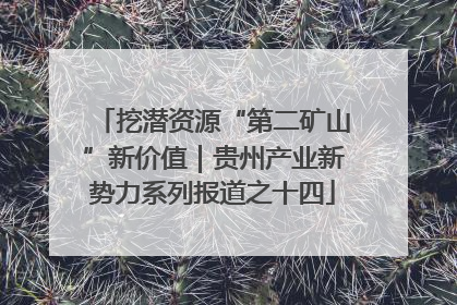挖潜资源“第二矿山”新价值｜贵州产业新势力系列报道之十四