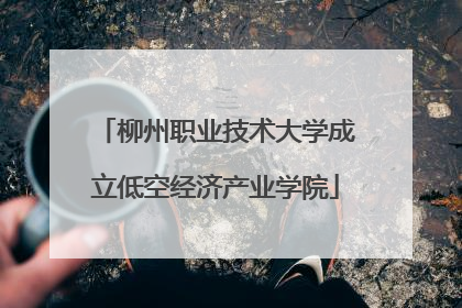 柳州职业技术大学成立低空经济产业学院