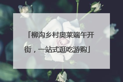 柳沟乡村奥莱端午开街，一站式逛吃游购