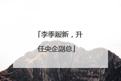 李季履新，升任央企副总