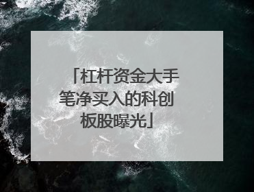 杠杆资金大手笔净买入的科创板股曝光