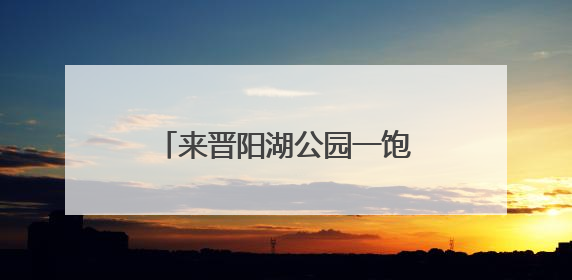 来晋阳湖公园一饱眼福吧！12万株百合花热烈绽放……