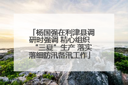杨国强在利津县调研时强调 精心组织“三夏”生产 落实落细防汛备汛工作