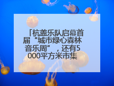 杭盖乐队启幕首届“城市绿心森林音乐周”，还有5000平方米市集、60余场免费活动等你来