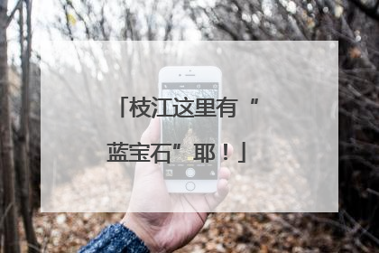 枝江这里有“蓝宝石”耶！