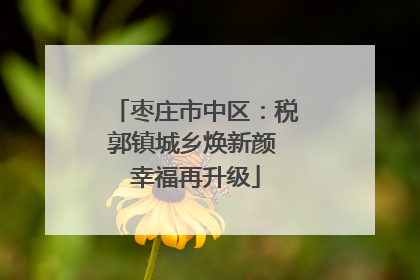 枣庄市中区：税郭镇城乡焕新颜 幸福再升级