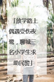 放学路上偶遇受伤夜鹭，聊城三名小学生求助民警