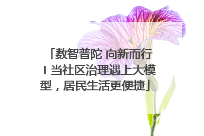 数智普陀 向新而行〡当社区治理遇上大模型，居民生活更便捷