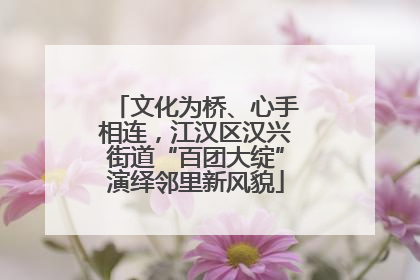 文化为桥、心手相连，江汉区汉兴街道“百团大绽”演绎邻里新风貌
