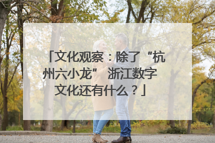 文化观察：除了“杭州六小龙” 浙江数字文化还有什么？