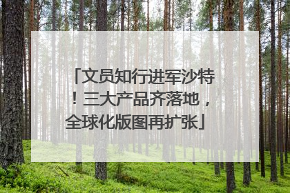 文员知行进军沙特！三大产品齐落地，全球化版图再扩张