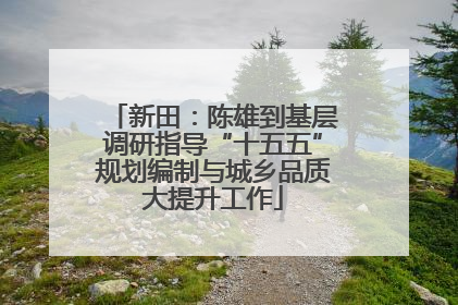 新田：陈雄到基层调研指导“十五五”规划编制与城乡品质大提升工作