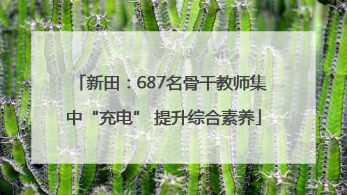 新田：687名骨干教师集中“充电” 提升综合素养
