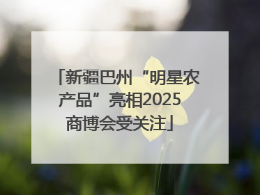 新疆巴州“明星农产品”亮相2025商博会受关注