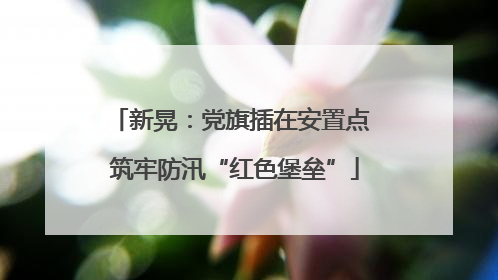 新晃：党旗插在安置点 筑牢防汛“红色堡垒”