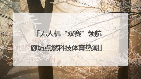 无人机“双赛”领航 廊坊点燃科技体育热潮