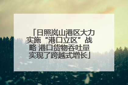 日照岚山港区大力实施“港口立区”战略 港口货物吞吐量实现了跨越式增长