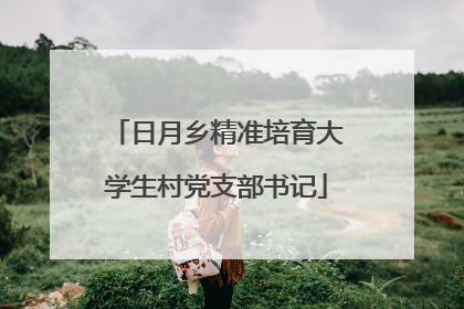 日月乡精准培育大学生村党支部书记